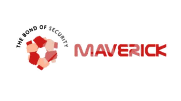 Maverick Share Brokers Private Ltd