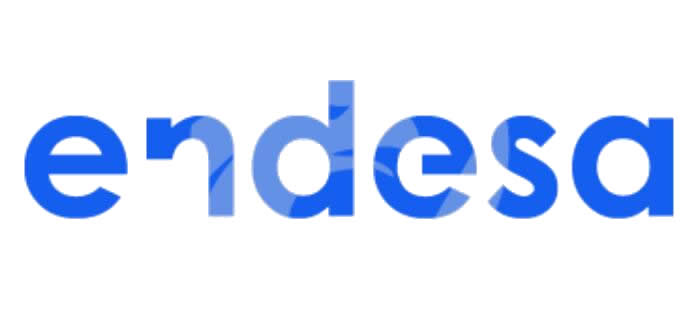 Endesa Energía