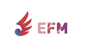 EFM GP LLC