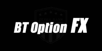 BT Option FX