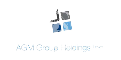 AGM TECHNOLOGY INC