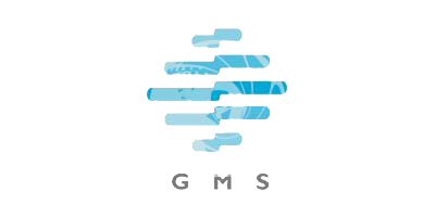 GMS INTERNATIONAL PTY LTD