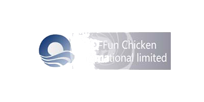 Q-Fun Chicken international