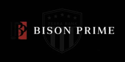 BISON PRIME LIMITED