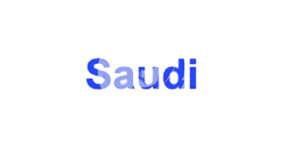 Saudi Portfolios