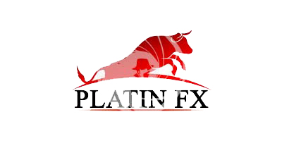 PLATIN SERVICES LTD