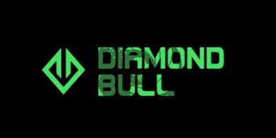 Diamond Bull Limited