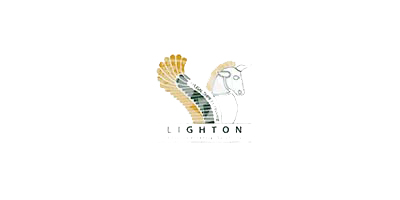 Lighton Management Solutions Ltd