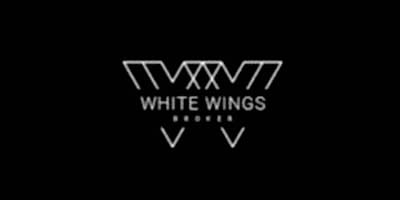 WHITE WINGS IT LTD