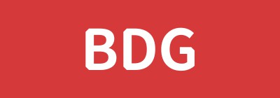 BDG LIMITED