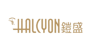 HALCYON CAPITAL LIMITED