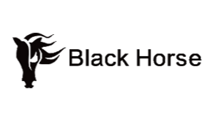 BLACK HORSE FOREX