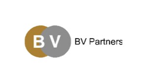 BV Partners