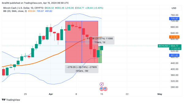 Bitcoin Cash (BCH) Price Action, April 2024 | Source: TradingView