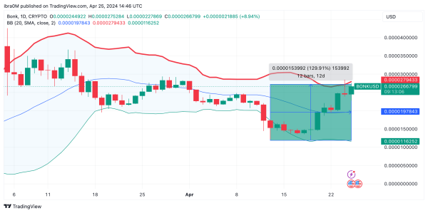 BONK Price Forecast | TradingView