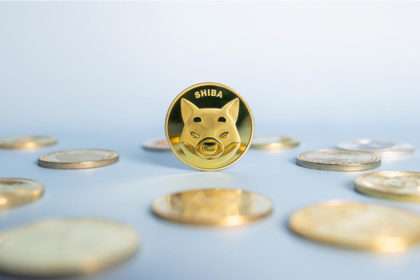 Shiba Inu Price Forecast: This $23M Signal Could Drive SHIB to $0.000030