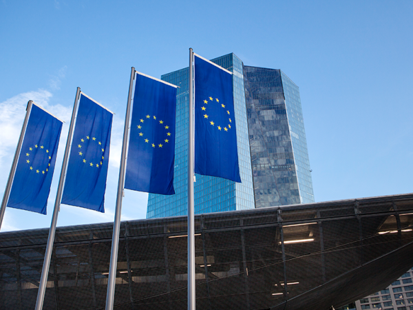 ECB flags