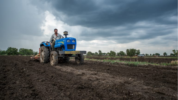 Uneven rainfall, low reservoir levels keep rice sowing 25% lower, pulses acreage dips slightly