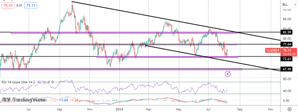 Crude Rallies on EIA Data & Middle East Fears