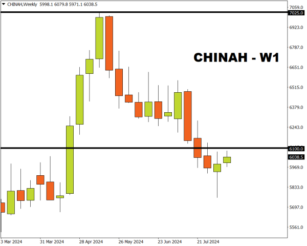 CHINAH W1