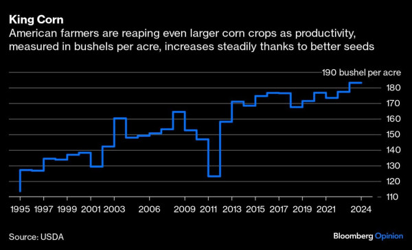 King Corn | American farmers are reaping even larger corn crops as productivity, measured in bushels per acre, increases steadily thanks to better seeds