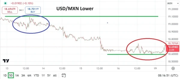 USD/MXN Analysis Today - 19/08: Value Gains Hold (Chart)