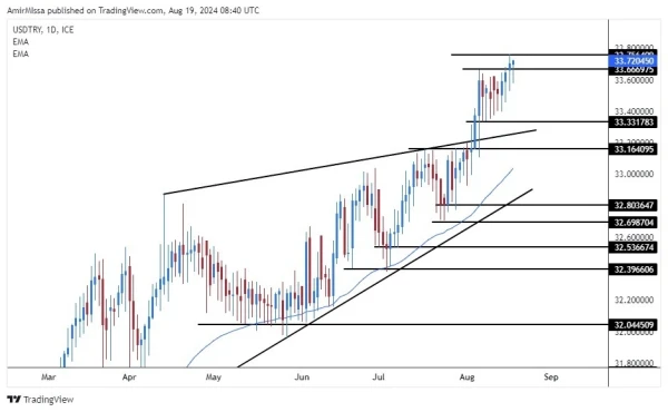 USD/TRY Forecast Today 19/8: Lira Near Record Lows (graph)