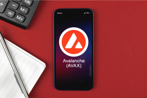 Will Avalanche (AVAX) Price Rise Any Further in August 2024?