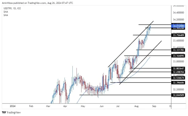 USD/TRY Forecast Today 26/8: Hits New Records (graph)