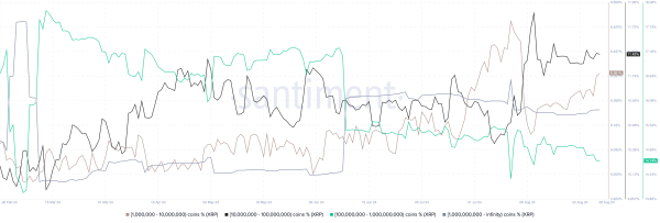 XRP whale distribution