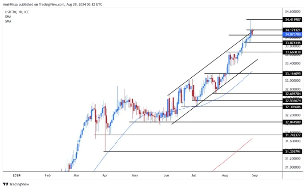 USD/TRY Forecast Today 29/8: Bullish and Bearish (graph)