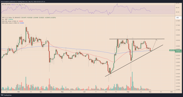 XRP/USD daily price chart