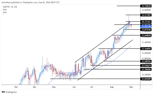 USD/TRY Forecast Today - 02/09: Turkey Reserves Drop (Chart)