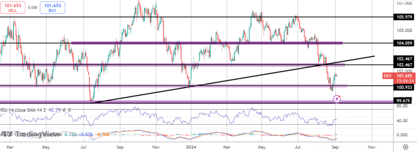 Dollar Recovery Stalls Ahead of Friday's NFP Release