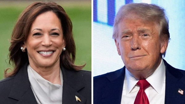 Election predictions are too noisy to tell if Harris or Trump wins