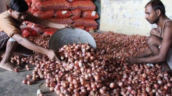 Nearly half the country’s states paying over Rs 50 per kg for onions: MC Analysis