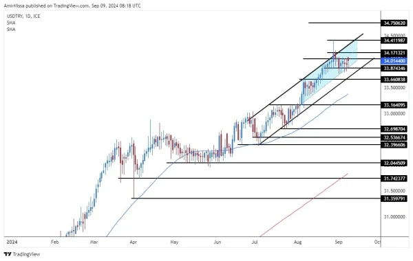 USD/TRY Today 09/09: Medium-Term Program Impact (graph)