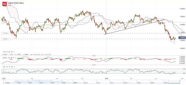 USD/SGD Mini