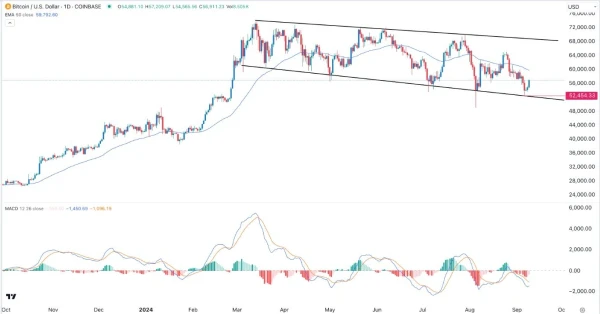 BTC/USD Signal Today - 10/09: Bulls Eye 50 EMA (Chart)