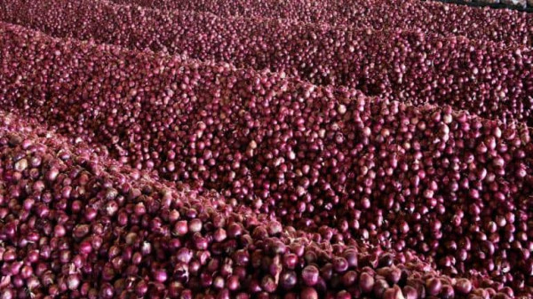 Govt removes minimum export price on onion