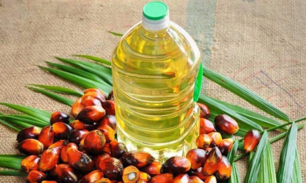 Govt asks edible oil bodies to maintain MRP till availability under lower customs duty