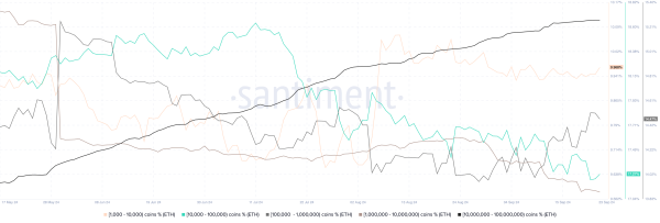 Ethereum supply held by top whale cohorts