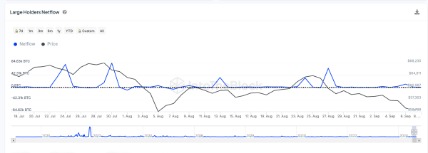 Bitcoin Price vs BTC Large Holder Netflow | IntoTheBlock