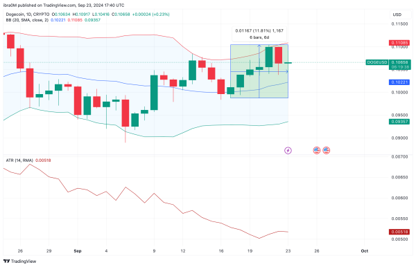 Dogecoin Price Technical Analysis | DOGEUSD