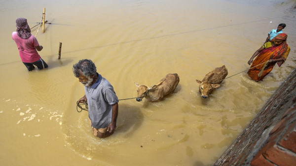 Nearly half of India's population will reside in areas prone to flooding: Moody's