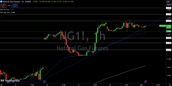 Natural Gas (NG) Price Chart