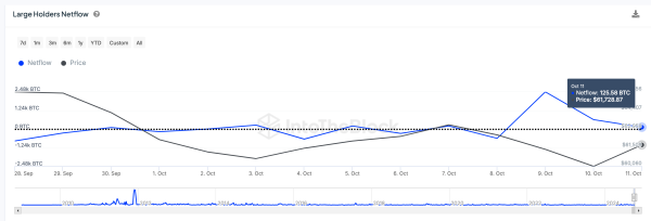 Bitcoin Whale Netflows, Oct 2024 | IntoTheBlock