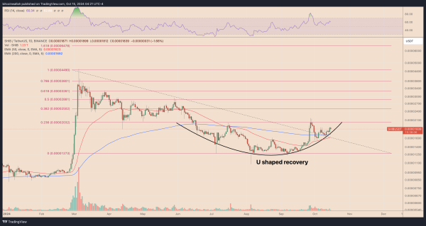 SHIBUSDT daily price chart